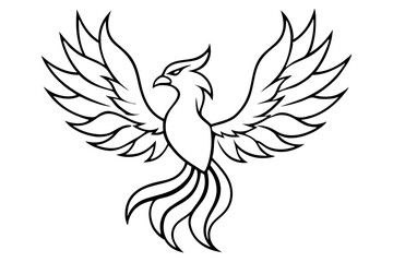 fenix bird line art silhouette vector illustration