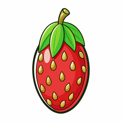 miracle fruit vector illustration