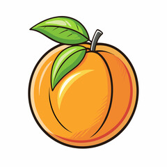 peach fruit isolated on white background