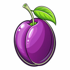vector illustration of plum
