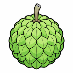 sugar apple isolated on white