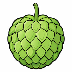 sugar apple isolated on white