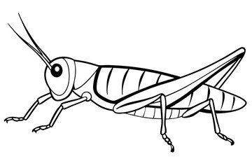 grasshopper line art silhouette vector illustration