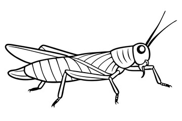 grasshopper line art silhouette vector illustration
