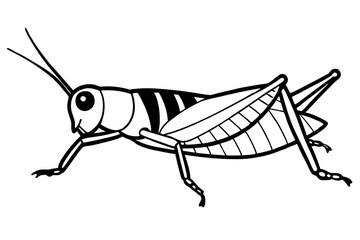 grasshopper line art silhouette vector illustration