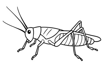 grasshopper line art silhouette vector illustration
