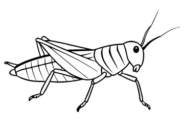 grasshopper line art silhouette vector illustration
