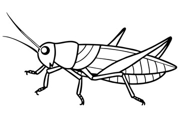 grasshopper line art silhouette vector illustration