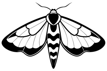 hawk moth line art silhouette vector illustration