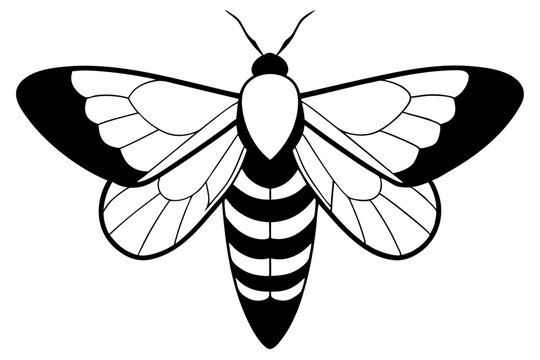 black and white moth outline clip art preview