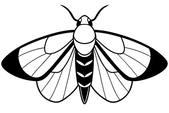 black and white moth insect clip art preview