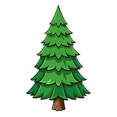 fir tree vector illustration
