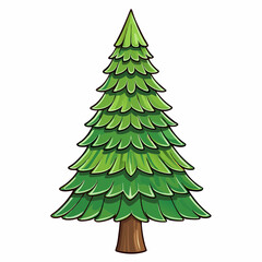 fir tree vector illustration