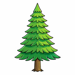 spruce tree on white