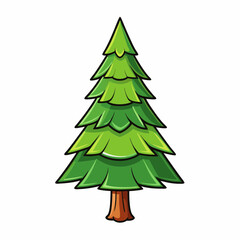 spruce tree on white