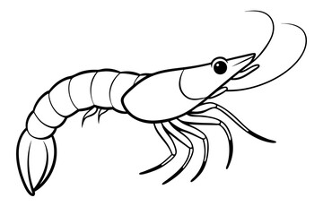 shirmp line art silhouette vector illustration