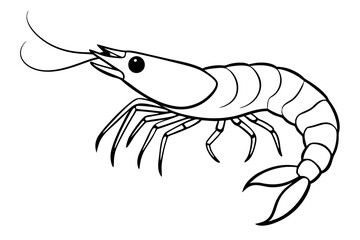 shirmp line art silhouette vector illustration