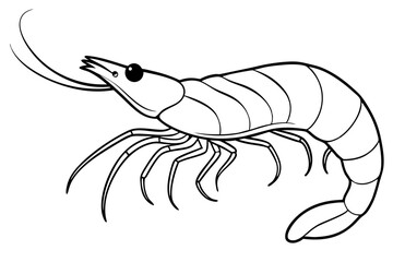 shirmp line art silhouette vector illustration
