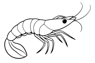 shirmp line art silhouette vector illustration