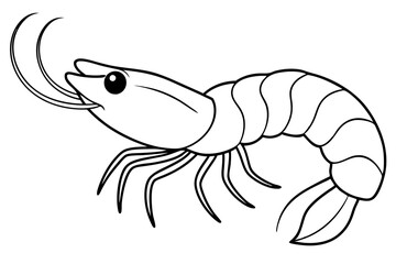 shirmp line art silhouette vector illustration