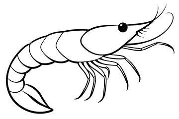 shirmp line art silhouette vector illustration