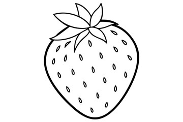 strawberry fruit line art silhouette vector illustration