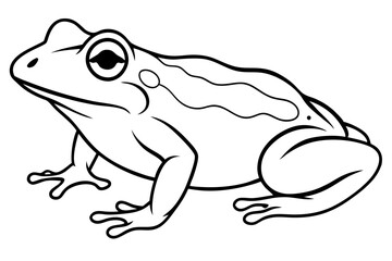 toad line art silhouette vector illustration