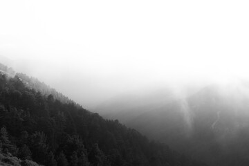 Hazy forest covered mountains. Black and white landscape