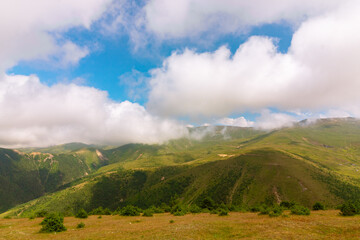 Fototapeta premium Forest covered mountains and clouds. Landscape of the mountains