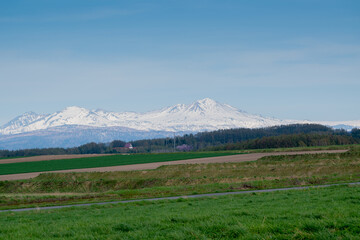 Fototapeta premium 春の畑と残雪の山並み 大雪山 