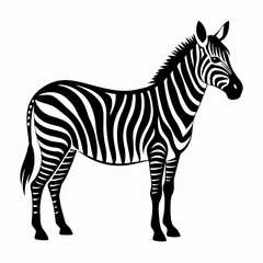 Fototapeta premium Zebra vector illustration of a striped wild animal standing isolated on a white background