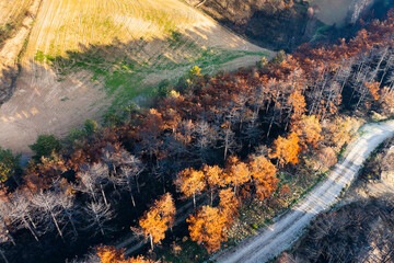 Wildfire devastating forest near cultivated fields in legarda, navarre, spain
