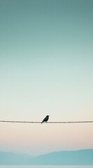 Lonely Crow Resting on a Tangle of Electric Wires at Dusk Nature Photography Serene Urban Landscape