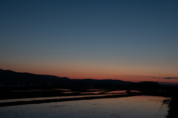 Fototapeta premium 美しい春の夕暮と水を張った水田 