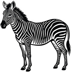 Adobe Illustrator ArtworkZebra illustration