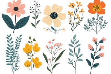 Beautiful watercolor illustrations depicting a collection of various floral species