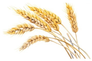 Wheat plant food agriculture.