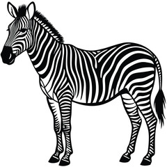Adobe Illustrator ArtworkVector drawing of a zebra