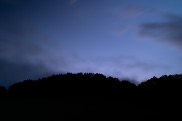 Coniferous trees and cloudy sky in the morning
