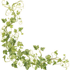 Obraz premium .Illustration of trees, leaves, grass and various botanical elements on a white background.