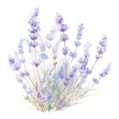 Naklejka premium .Illustration of trees, leaves, grass and various botanical elements on a white background.