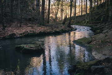 Tranquil Spring River Doubrava  Flowing Between Rocks and Forest with Early Sunlight