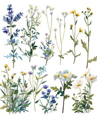 .Illustration of trees, leaves, grass and various botanical elements on a white background.