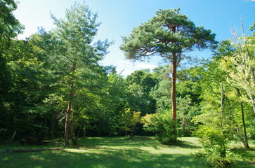 大平森林公園