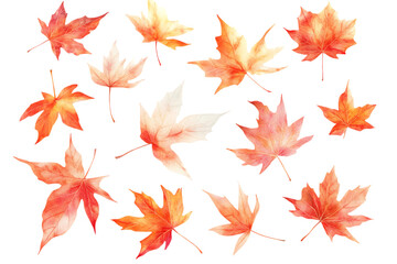 Autumn maple leaves in warm red and orange tones. Vibrant seasonal foliage representing fall and nature. Leaves isolated, AI generated.  .