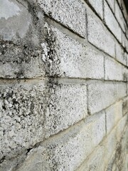 perspective view of weathered white brick wall with mold and decay