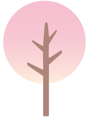 Fototapeta premium cherry blossom