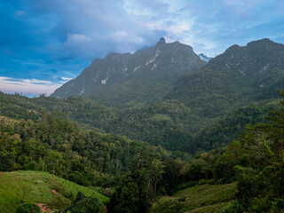 Naklejka premium Doi Chiang Dao: The Charm of Mountains in Winter