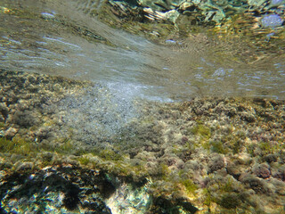 Ocean blue underwater with sunrays, Underwater Sea Deep Water Abstract Sunshine, sea wave, clean waters in summer time, Natural underwater seascape, sand on ocean floor and water surface with sunlight