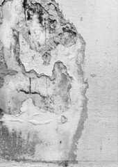 Large vector halftone concrete wall texture with a transparent background